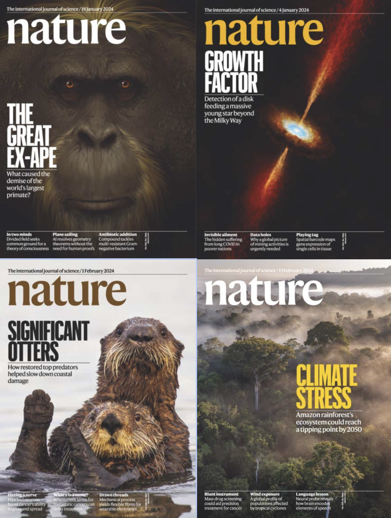 [英国]Nature 自然杂志 2024年订阅 电子版PDF下载(图1)